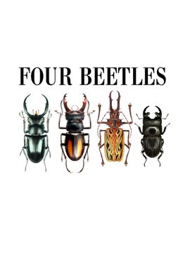 Four Beetles on white