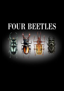 Four Beetles on black