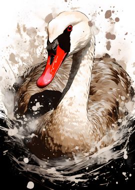 Swan Colorful Painting