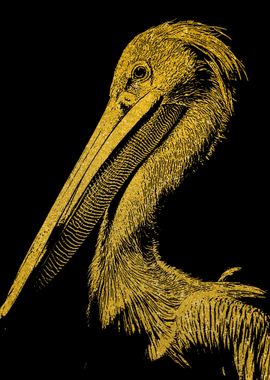 Pelican Gold