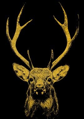 Deer Gold