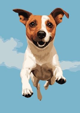 Jack Russell Terrier Jump