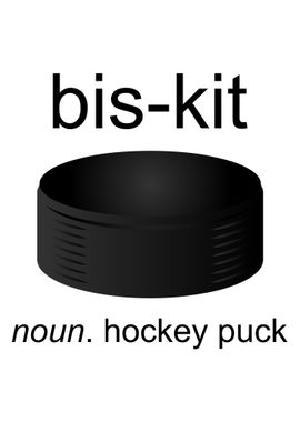 Hockey Puck Definition