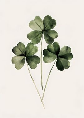 Clovers St Patricks Day