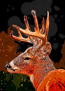 Deer Animals 24