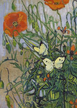 Butterflies and poppies 