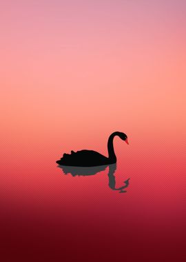 Swan At The Sunset