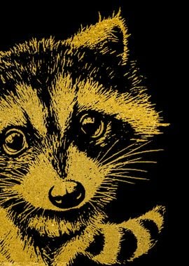 Raccoon Gold