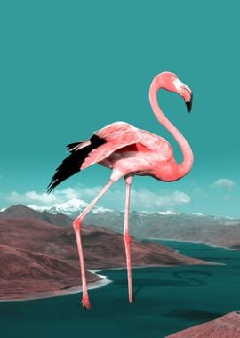 flamingo manipulation