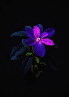 Vinca Flower in the dark