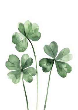 Irish Clovers Shamrocks