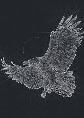 Eagle Drawing Art