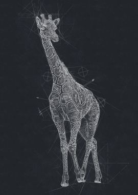 Giraffe Pencil Drawing