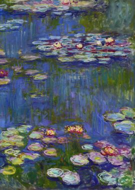 Water Lilies