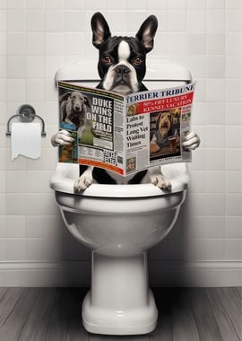 Boston Terrier on Toilet