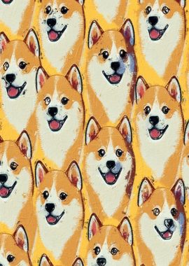 Shiba Inu Meme