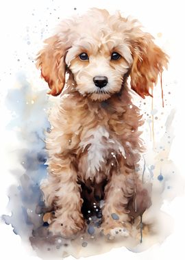 Puppy Poodle in Watercolor