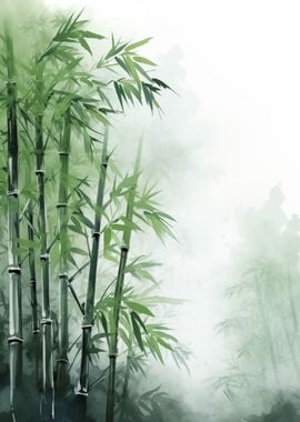 Japanese Bamboo Forest