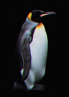 Penguin Portrait