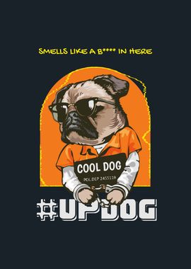 Updog