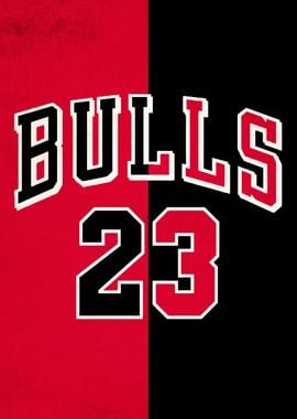 Chicago Bulls