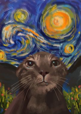 wet cat in starry night 