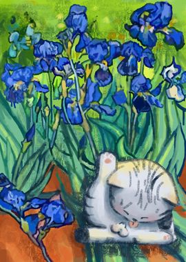 cat in ball in irises