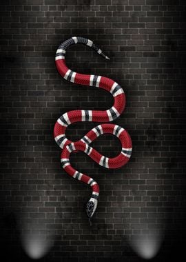 Snake