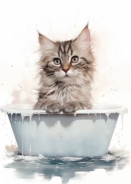 Cat Bathtub