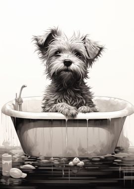 Dog Bathtub