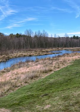 Maine Streams I