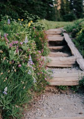 Wildflower Steps