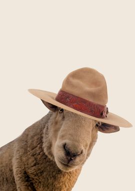 Cute sheep with hat