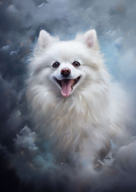 White pomeranian dog