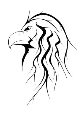 Black and white eagle