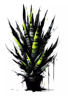 Abstract Sansevieria Plant