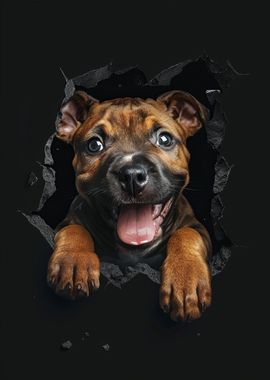 Staffordshire Bull Terrier