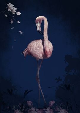 Flamingo