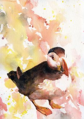 Puffin fine art watercolor