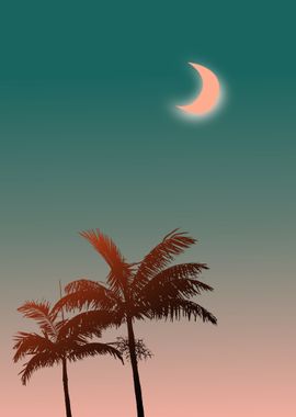 palm sunset