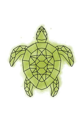 Turtle geometric 