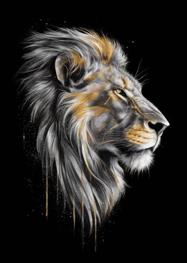 Lion Animal