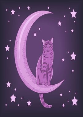 cat moonlight