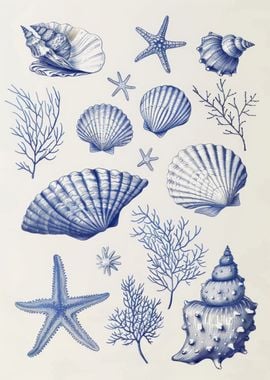 Vintage Seashell Sketches