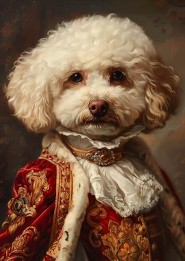 Bichon Frise Portrait