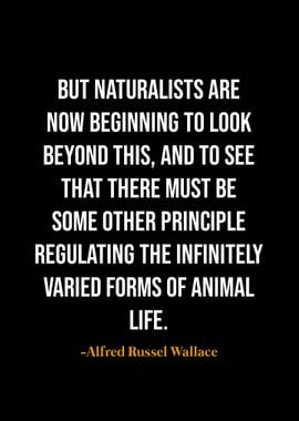 Alfred Russel Wallace