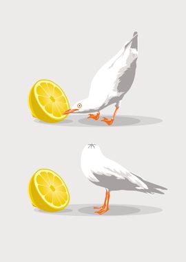 Seagull and lemon