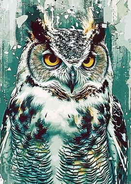 Owl Art