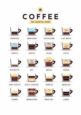 Coffee Guide