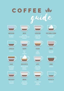 Coffee Guide